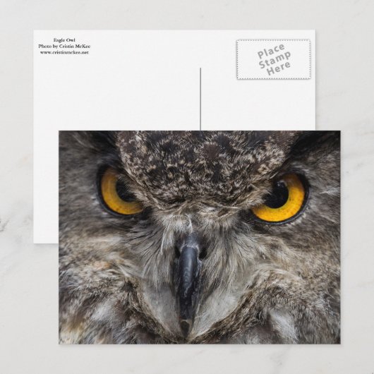 Eagle Owl Briefkaart (Voorkant / Achterkant)