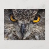 Eagle Owl Briefkaart (Voorkant)