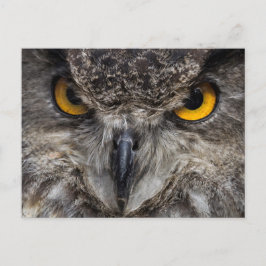 Eagle Owl Briefkaart