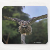 Eagle Owl (Bubo bubo) Muismat (Voorkant)