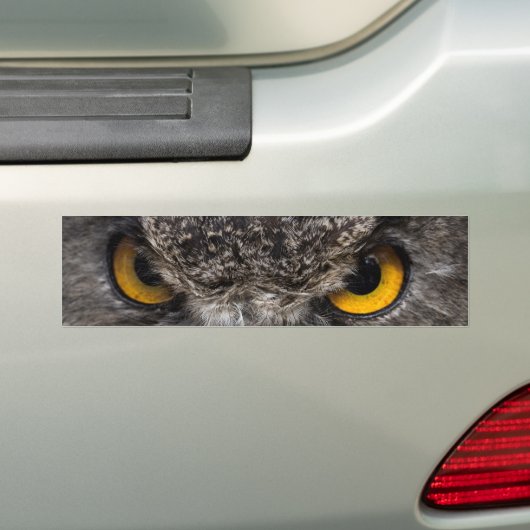 Eagle Owl Bumpersticker (Op auto)