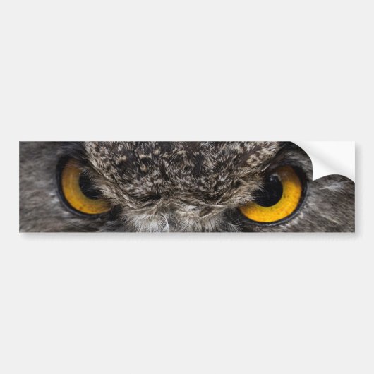 Eagle Owl Bumpersticker (Voorkant)