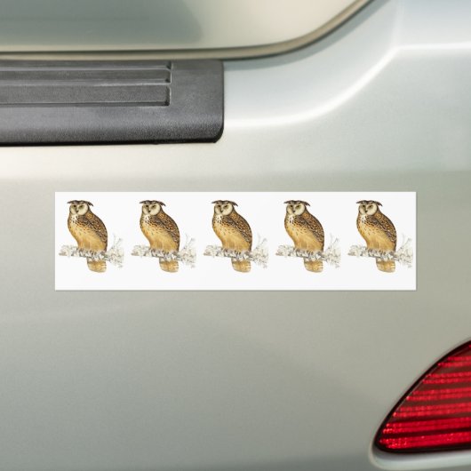 Eagle Owl Bumpersticker (Op auto)