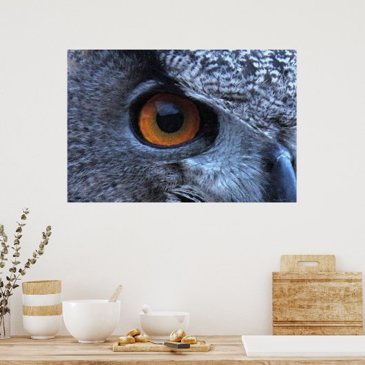 Eagle Owl Eye Poster -36x24 -andere beschikbare ma (Keuken)