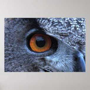 Eagle Owl Eye Poster -36x24 -andere beschikbare ma