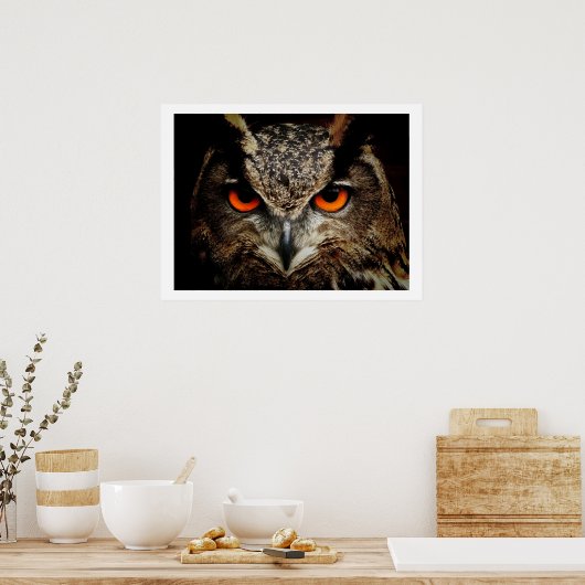 Eagle Owl Eyes Poster (Keuken)