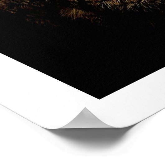 Eagle Owl Eyes Poster (Hoek)