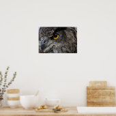 Eagle Owl Eyes Poster (Keuken)