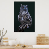 Eagle Owl Foto Poster -24x36 - kleiner beschikbaar (Keuken)