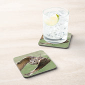 Eagle Owl in vlucht Bier Onderzetter (Rechterzijde)