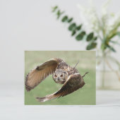 Eagle Owl in vlucht Briefkaart (Staand voorkant)