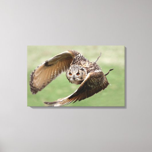 Eagle Owl in vlucht Canvas Afdruk (Voorkant)