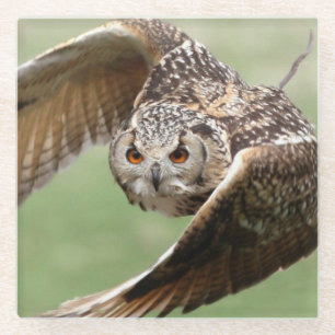 Eagle Owl in vlucht Glazen Onderzetter