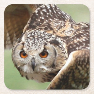 Eagle Owl in vlucht Kartonnen Onderzetters