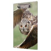 Eagle Owl in vlucht Klembord (Links)