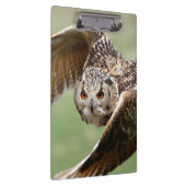 Eagle Owl in vlucht Klembord (Rechts)