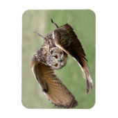 Eagle Owl in vlucht Magneet (Verticaal)