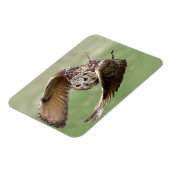 Eagle Owl in vlucht Magneet (Linkerzijde)