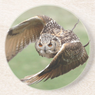 Eagle Owl in vlucht Zandsteen Onderzetter