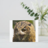 eagle owl.jpg briefkaart (Staand voorkant)
