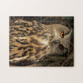 Eagle Owl Legpuzzel (Horizontaal)