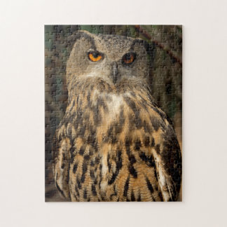 Eagle Owl Legpuzzel