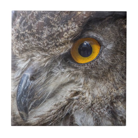 Eagle Owl met intense Oranje ogen Tegeltje (Voorkant)