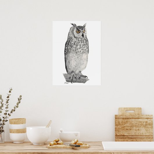 Eagle Owl Pencil Tekening Poster (Keuken)