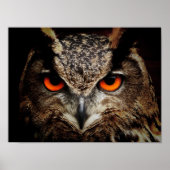 Eagle-Owl Poster (Voorkant)
