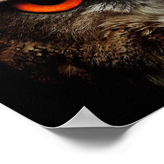 Eagle-Owl Poster (Hoek)