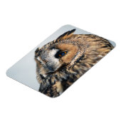 Eagle Owl Premium magneet (Linkerzijde)