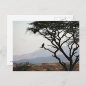 Eagle Owl Silhouet Briefkaart (Voorkant / Achterkant)