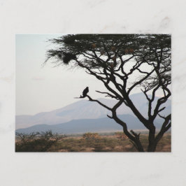 Eagle Owl Silhouet Briefkaart