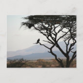 Eagle Owl Silhouet Briefkaart (Voorkant)