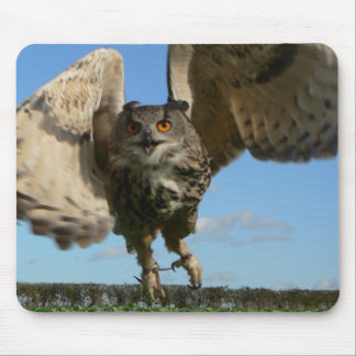 Eagle Owl Swoboing Muismat