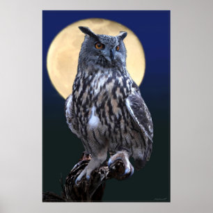 Eagle Owl Waterverf Poster -24x36 -of kleiner