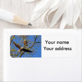 Eagle Paar met uw adres Etiket (Insitu)