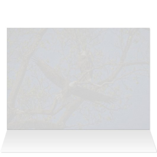 Eagle Pair (Binnen Horizontaal (Boven))
