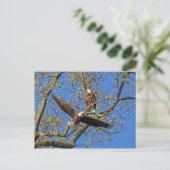 Eagle Pair Briefkaart (Staand voorkant)