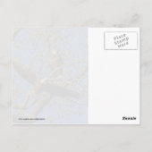 Eagle Pair Briefkaart (Achterkant)