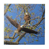 Eagle Pair Tegeltje (Voorkant)