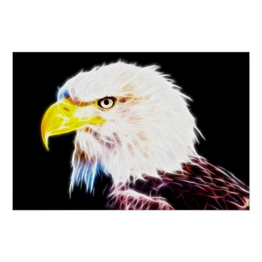 Eagle Perfect Poster (Voorkant)