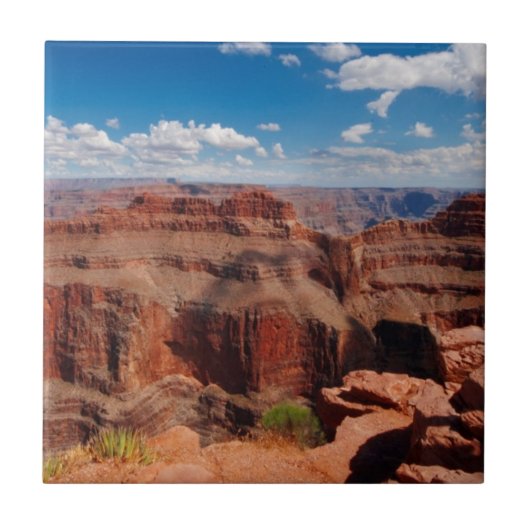 Eagle Point Tegeltje (Voorkant)