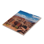 Eagle Point Tegeltje (Zijkant)