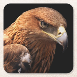 Eagle portret geïsoleerd op zwart kartonnen onderzetters