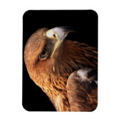 Eagle portret geïsoleerd op zwart magneet (Verticaal)
