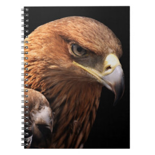 Eagle portret geïsoleerd op zwart notitieboek