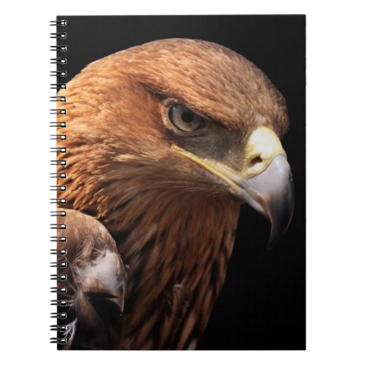 Eagle portret geïsoleerd op zwart notitieboek (Voorkant)