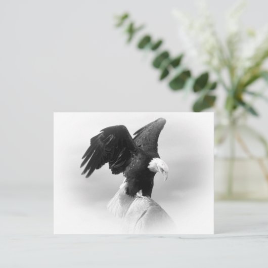 Eagle Post Kaart (Staand voorkant)