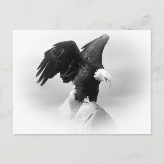 Eagle Post Kaart (Voorkant)